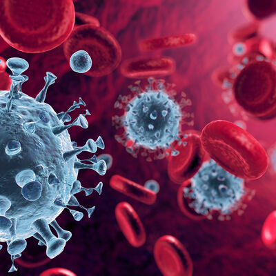 Abgebildet wird die  Corona-Viruszellen im Blutkreislauf. 